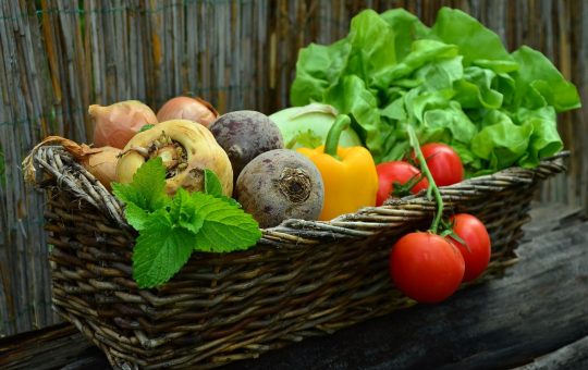 Un coupe-légumes professionnel pour faciliter vos préparations